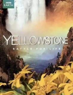 [夸克网盘][英国纪录片]黄石公园.2009.1080P.全集.国粤英多音轨.中字外挂字幕下载的图片(1)