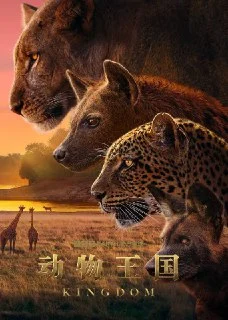 [夸克网盘][英国纪录片]动物王国.2025.4K.HQ.高码率.国英音轨.内嵌简英.S01E01-E03下载的图片(1)