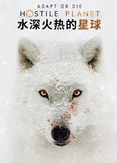 [夸克网盘][英国纪录片]水深火热的星球.2019.1080P.全集.外挂中英下载的图片(1)