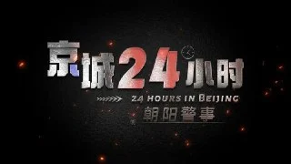 [夸克网盘][国产纪录片]京城24小时之朝阳警事 .2024.下载的图片(1)