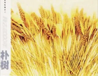 [音乐]朴树.2000年专辑.我去2000.Flac.夸克网盘的图片(1)